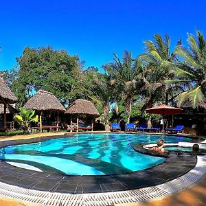 Diani Backpackers (Adults Only)